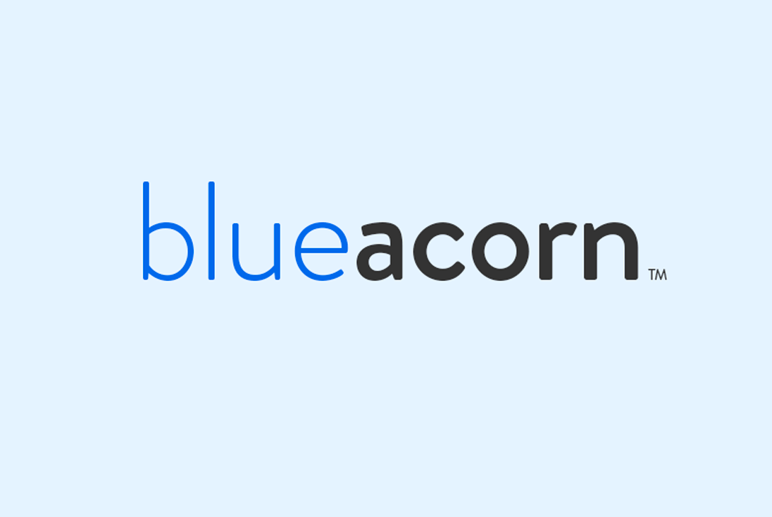 ppp loan blue acorn phone number